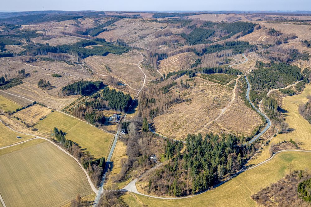 Luftbild Ramsbeck - Kahle Fläche eines gerodeten Waldbestandes in Ramsbeck im Bundesland Nordrhein-Westfalen, Deutschland