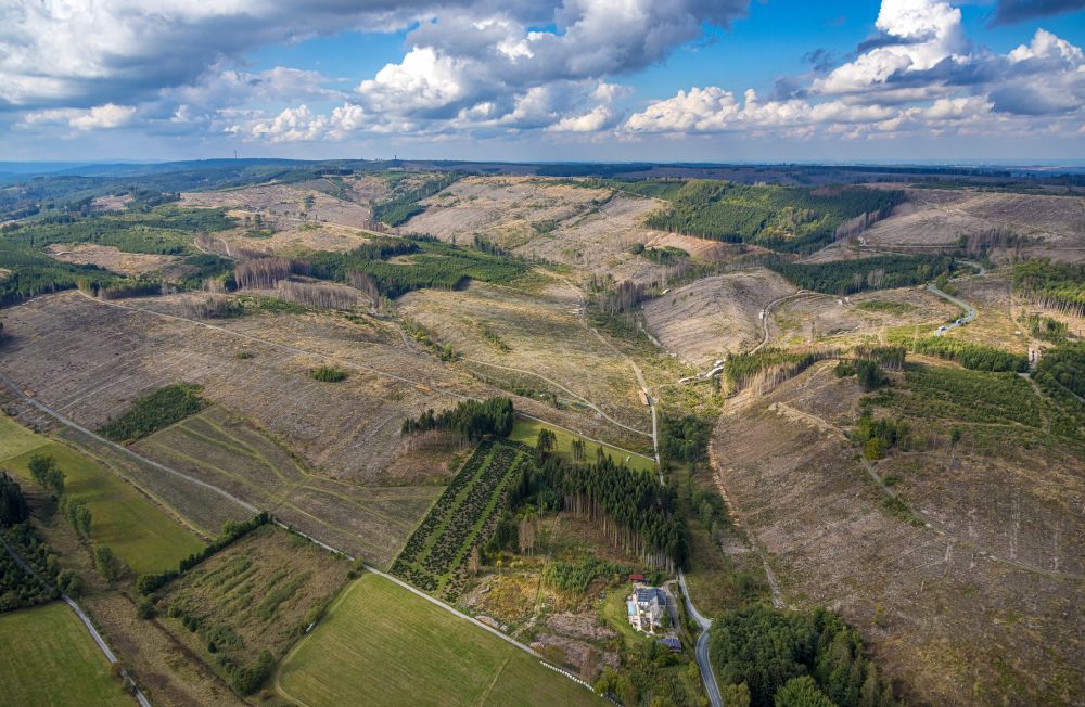 Ramsbeck von oben - Kahle Fläche eines gerodeten Waldbestandes in Ramsbeck im Bundesland Nordrhein-Westfalen, Deutschland