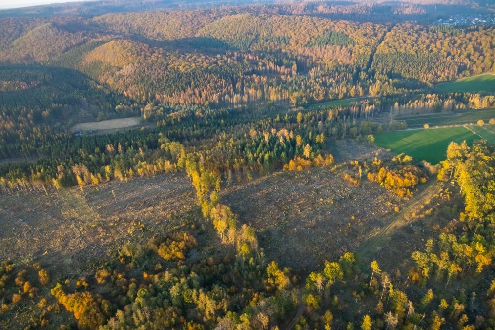 Luftaufnahme Marsberg - Kahle Fläche eines gerodeten Waldbestandes am Schnippelweg in Marsberg im Bundesland Nordrhein-Westfalen, Deutschland