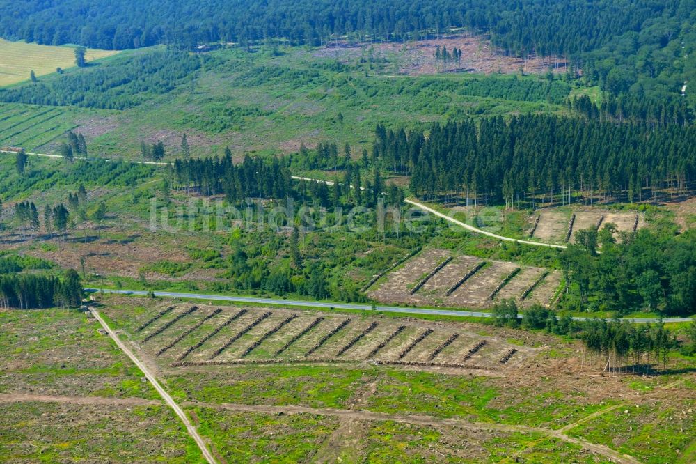 Luftaufnahme Solling - Kahle Fläche eines gerodeten Waldbestandes in Solling im Bundesland Niedersachsen, Deutschland