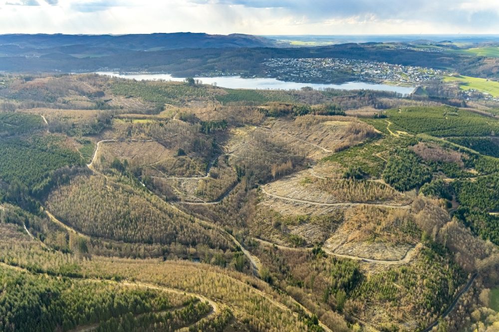 Stemel von oben - Kahle Fläche eines gerodeten Waldbestandes in Stemel im Bundesland Nordrhein-Westfalen, Deutschland