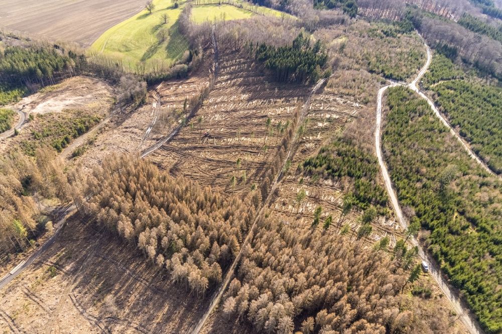 Luftaufnahme Sundern (Sauerland) - Kahle Fläche eines gerodeten Waldbestandes in Sundern (Sauerland) im Bundesland Nordrhein-Westfalen, Deutschland