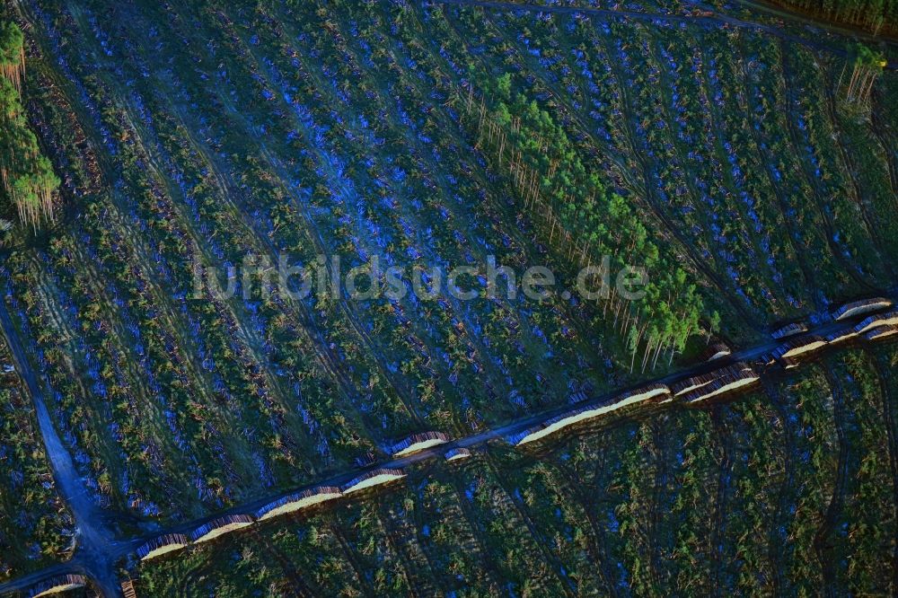Luftbild Grünheide (Mark) - Kahle Fläche eines gerodeten Waldbestandes am Tesla- Werk in Grünheide (Mark) im Bundesland Brandenburg, Deutschland