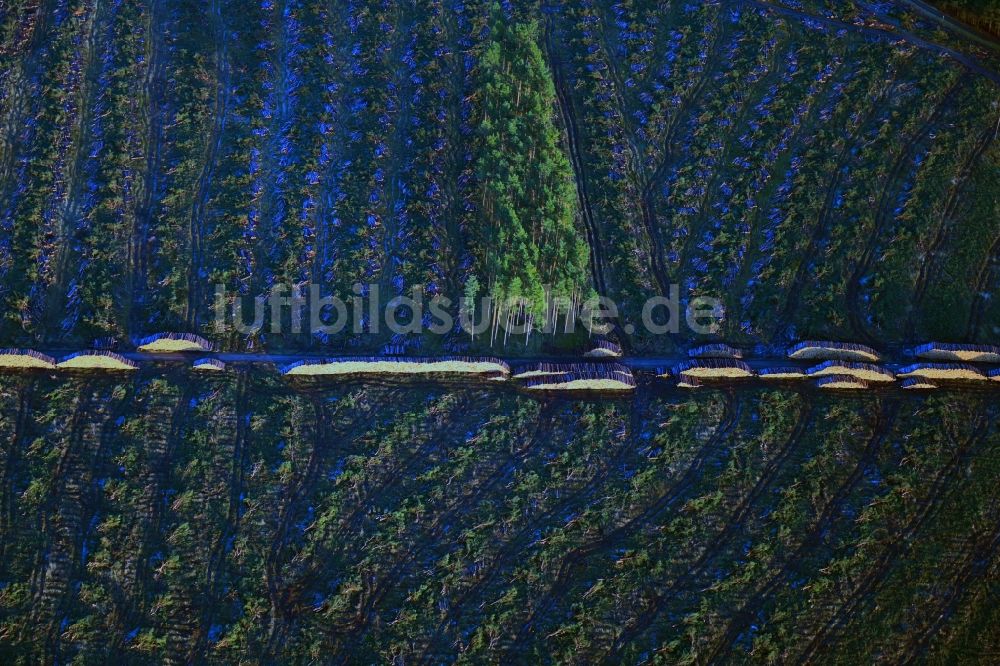 Luftaufnahme Grünheide (Mark) - Kahle Fläche eines gerodeten Waldbestandes am Tesla- Werk in Grünheide (Mark) im Bundesland Brandenburg, Deutschland