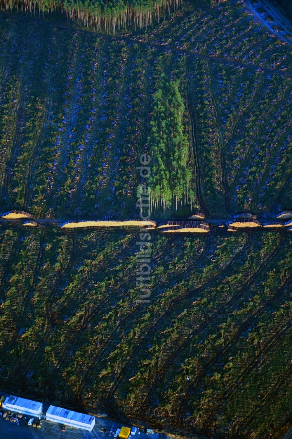 Grünheide (Mark) von oben - Kahle Fläche eines gerodeten Waldbestandes am Tesla- Werk in Grünheide (Mark) im Bundesland Brandenburg, Deutschland