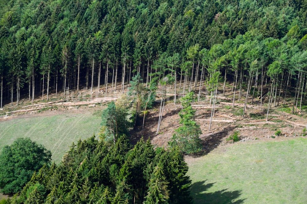 Luftbild Georgsmarienhütte - Kahle Fläche eines gerodeten Waldbestandes des Teutoburger Wald in Georgsmarienhütte im Bundesland Niedersachsen, Deutschland