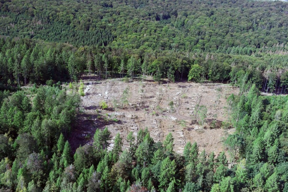 Luftbild Uftrungen - Kahle Fläche eines gerodeten Waldbestandes in Uftrungen im Bundesland Sachsen-Anhalt, Deutschland