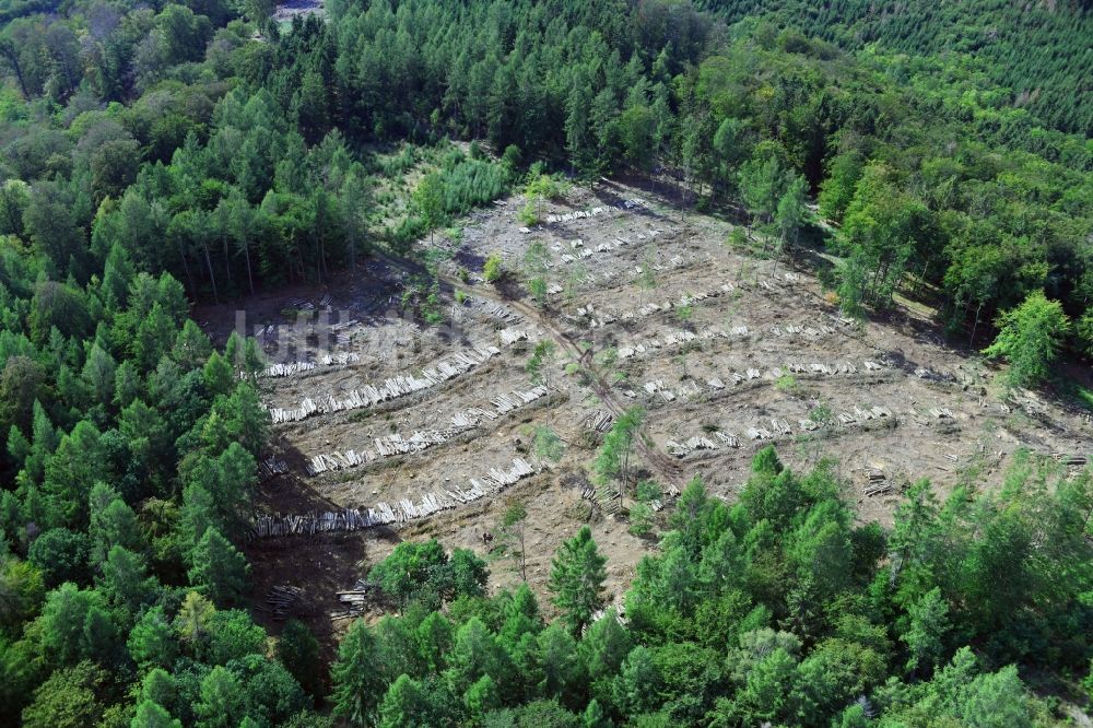 Luftaufnahme Uftrungen - Kahle Fläche eines gerodeten Waldbestandes in Uftrungen im Bundesland Sachsen-Anhalt, Deutschland