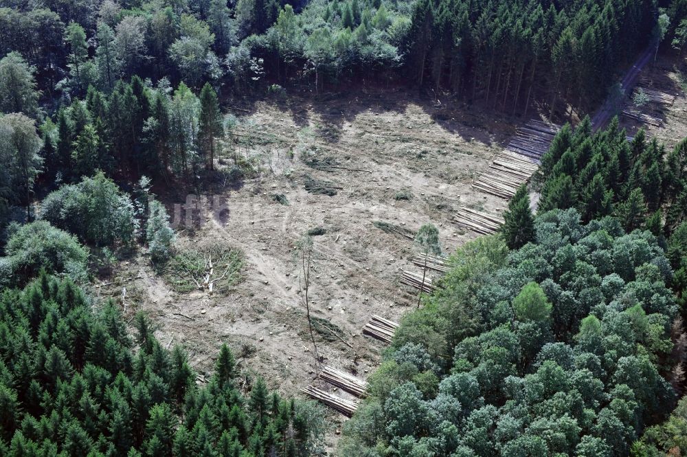 Luftbild Uftrungen - Kahle Fläche eines gerodeten Waldbestandes in Uftrungen im Bundesland Sachsen-Anhalt, Deutschland
