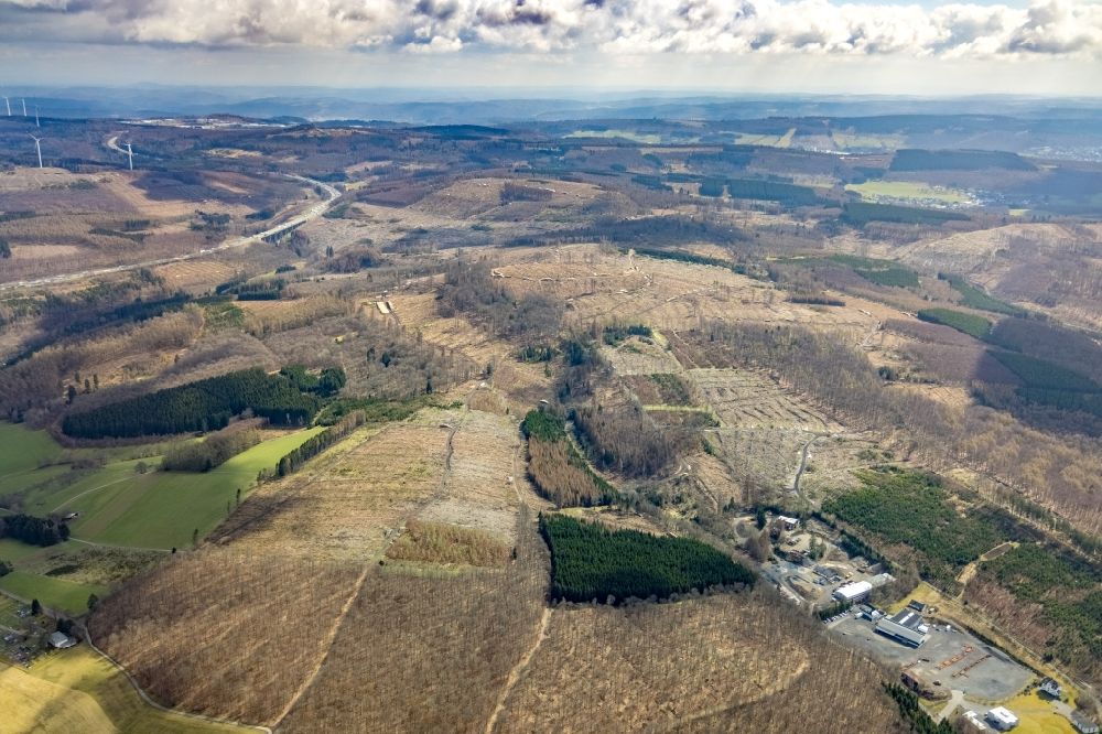 Luftaufnahme Unterwilden - Kahle Fläche eines gerodeten Waldbestandes in Unterwilden im Bundesland Nordrhein-Westfalen, Deutschland