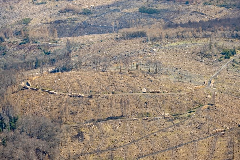 Luftbild Unterwilden - Kahle Fläche eines gerodeten Waldbestandes in Unterwilden im Bundesland Nordrhein-Westfalen, Deutschland