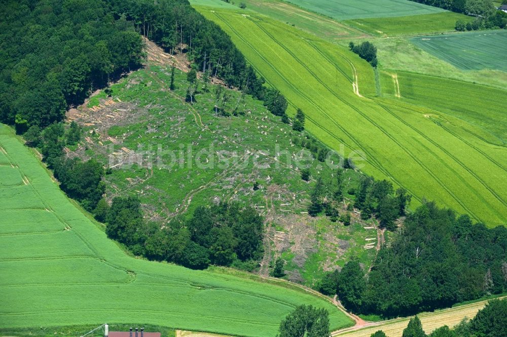 Westorf von oben - Kahle Fläche eines gerodeten Waldbestandes in Westorf im Bundesland Nordrhein-Westfalen, Deutschland
