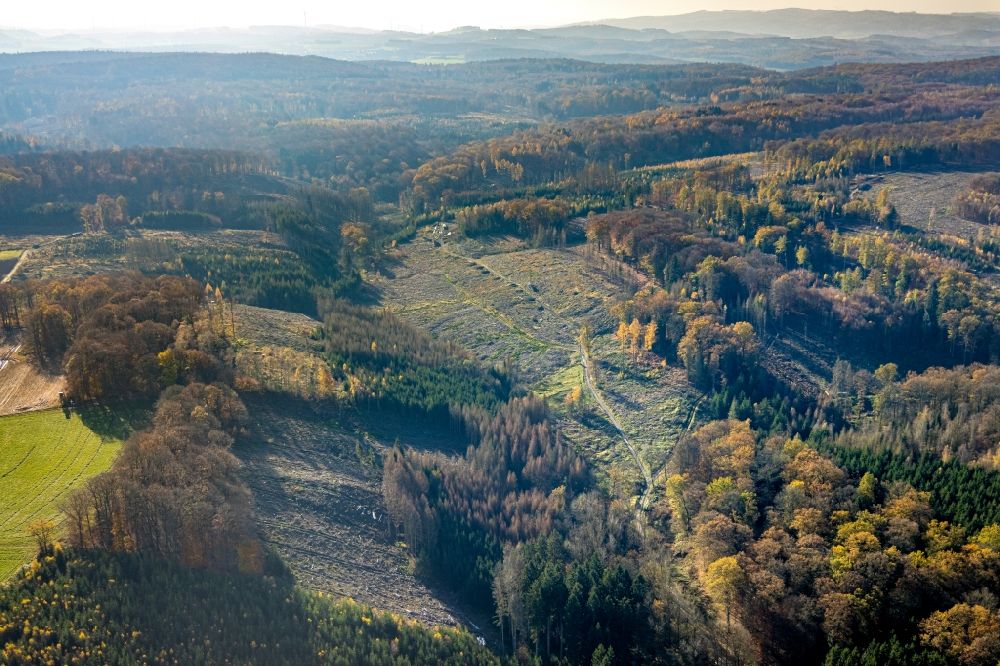 Luftbild Vosswinkel - Kahle Fläche eines gerodeten Waldbestandes des Wildwald in Vosswinkel im Bundesland Nordrhein-Westfalen, Deutschland