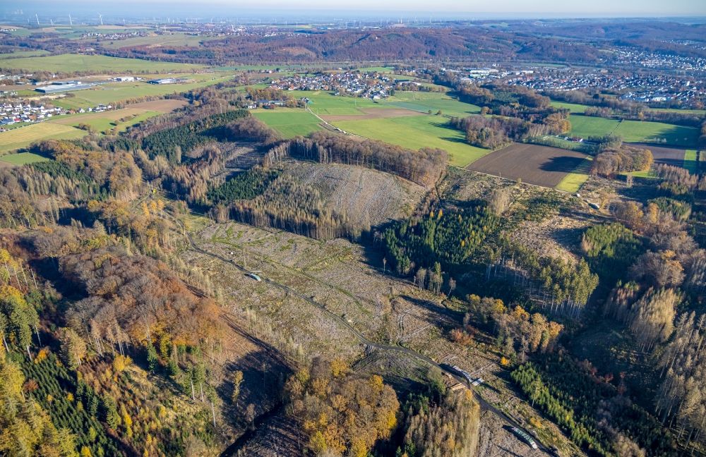 Luftaufnahme Vosswinkel - Kahle Fläche eines gerodeten Waldbestandes des Wildwald in Vosswinkel im Bundesland Nordrhein-Westfalen, Deutschland