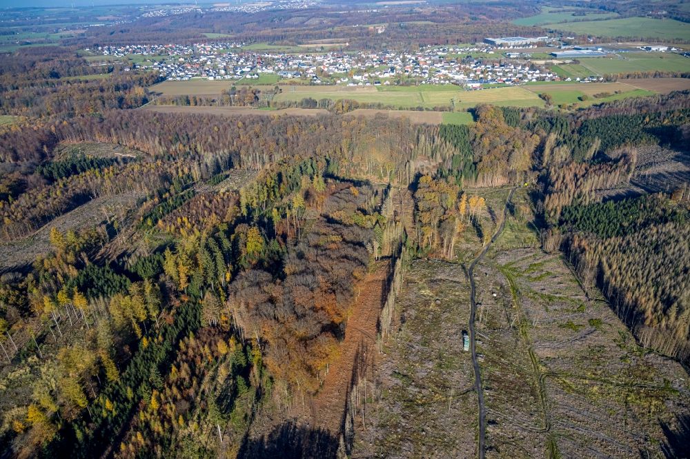 Luftbild Vosswinkel - Kahle Fläche eines gerodeten Waldbestandes des Wildwald in Vosswinkel im Bundesland Nordrhein-Westfalen, Deutschland