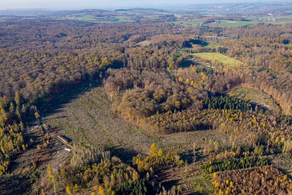 Luftaufnahme Vosswinkel - Kahle Fläche eines gerodeten Waldbestandes des Wildwald in Vosswinkel im Bundesland Nordrhein-Westfalen, Deutschland