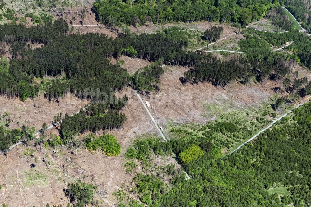 Luftbild Ransbach-Baumbach - Kahle Fläche eines gerodeten Waldbestandes in Wittgert im Bundesland Rheinland-Pfalz, Deutschland