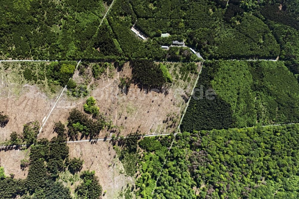 Luftaufnahme Ransbach-Baumbach - Kahle Fläche eines gerodeten Waldbestandes in Wittgert im Bundesland Rheinland-Pfalz, Deutschland