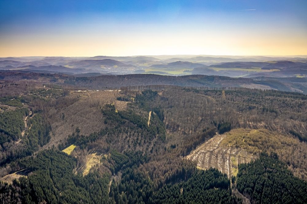 Luftbild Enste - Kahle Flächen eines gerodeten Waldbestandes bei Enste im Bundesland Nordrhein-Westfalen, Deutschland