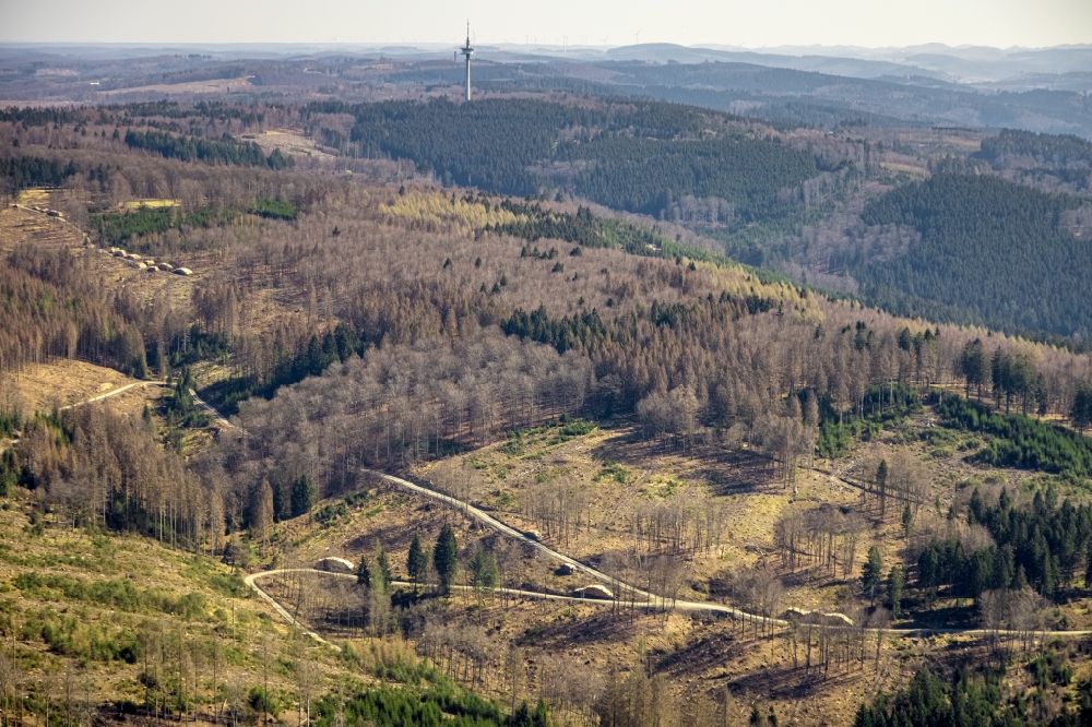 Enste aus der Vogelperspektive: Kahle Flächen eines gerodeten Waldbestandes bei Enste im Bundesland Nordrhein-Westfalen, Deutschland