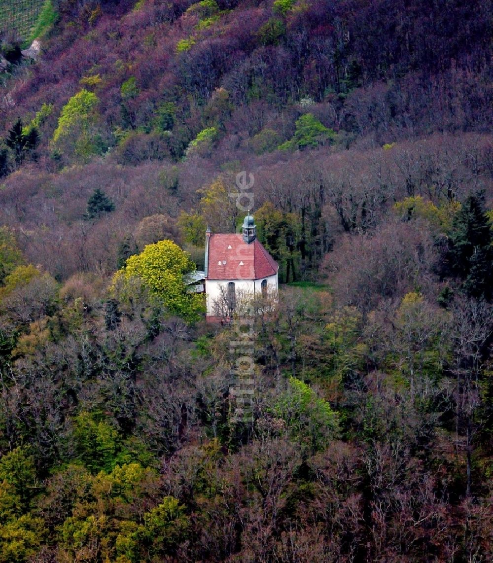 Luftaufnahme Endingen am Kaiserstuhl - Kapelle Sankt Katharinen im Ortsteil Königschaffhausen in Vogtsburg im Kaiserstuhl im Bundesland Baden-Württemberg