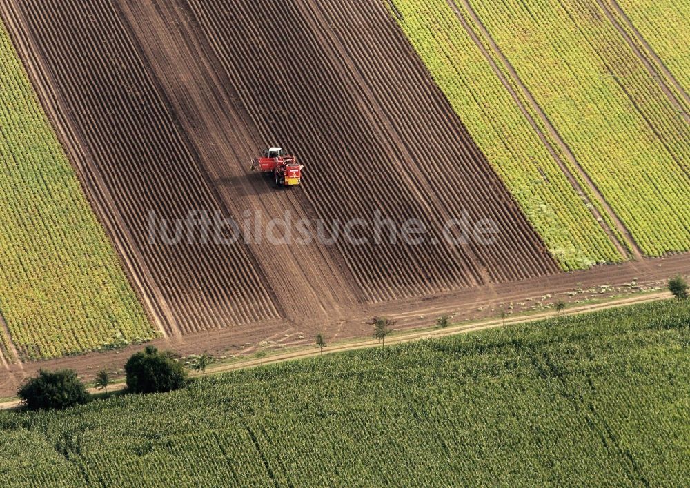 Nottleben aus der Vogelperspektive: Kartoffelernte auf einem Feld in Nottleben in Thüringen
