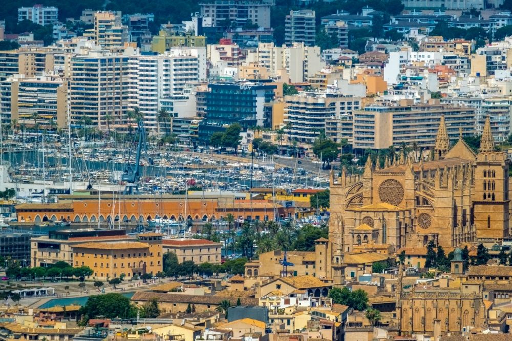 Luftaufnahme Palma - Kathedrale am Plaça de la Seu in Palma de Mallorca auf der Balearischen Insel Mallorca, Spanien