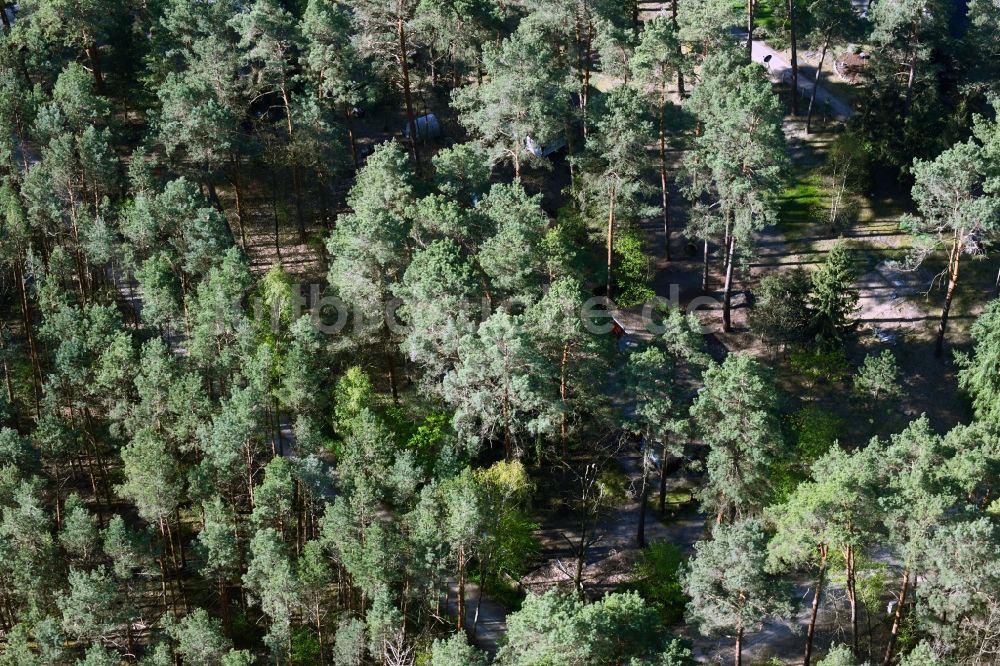 Luftbild Schorfheide - Kleingartenanlagen und Bungalowsiedelung im Wald von Böhmerheide, Deutschland
