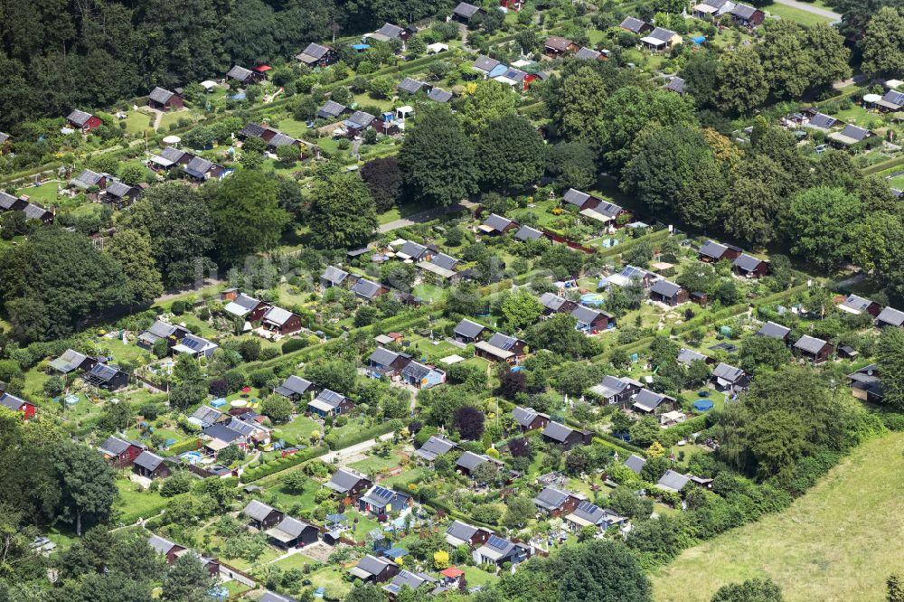 Luftbild Köln - Kleingartenanlagen einer Laubenkolonie Kleingarten am Eichenwald in Köln im Bundesland Nordrhein-Westfalen, Deutschland