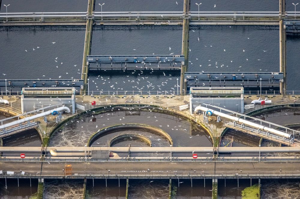 Luftbild Duisburg - Klärwerks- Becken und Reinigungsstufen im Ortsteil Kasslerfeld in Duisburg im Bundesland Nordrhein-Westfalen, Deutschland