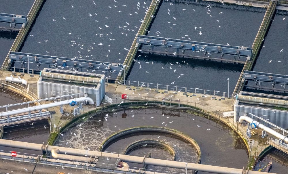Luftaufnahme Duisburg - Klärwerks- Becken und Reinigungsstufen im Ortsteil Kasslerfeld in Duisburg im Bundesland Nordrhein-Westfalen, Deutschland