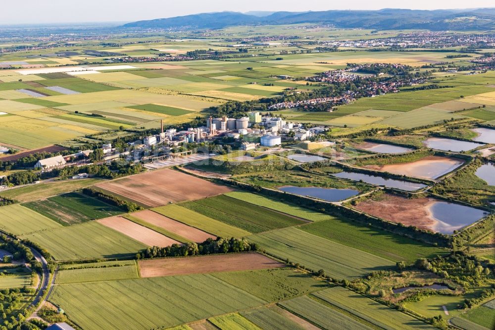 Luftaufnahme Obrigheim (Pfalz) - Klärwerksbecken der Zuckerfabrik Südzucker AG in Obrigheim (Pfalz) im Bundesland Rheinland-Pfalz, Deutschland