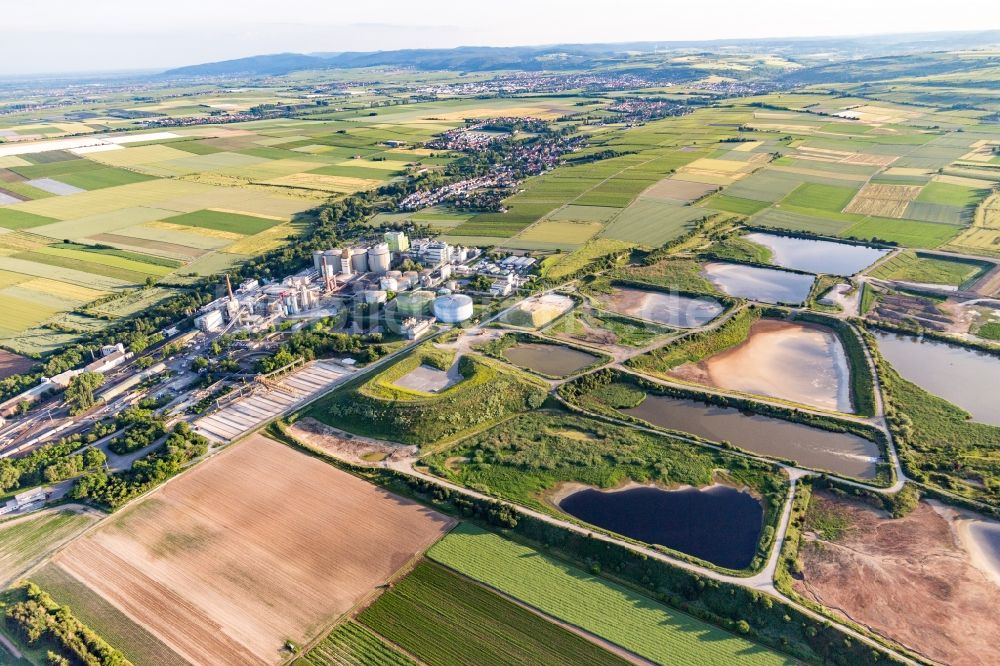 Obrigheim (Pfalz) von oben - Klärwerksbecken der Zuckerfabrik Südzucker AG in Obrigheim (Pfalz) im Bundesland Rheinland-Pfalz, Deutschland