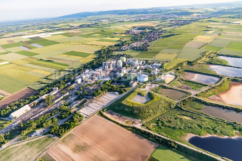 Obrigheim (Pfalz) aus der Vogelperspektive: Klärwerksbecken der Zuckerfabrik Südzucker AG in Obrigheim (Pfalz) im Bundesland Rheinland-Pfalz, Deutschland