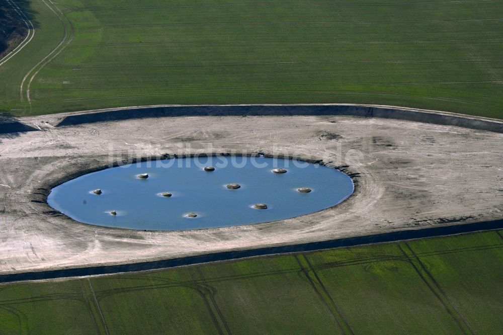 Luftaufnahme Krummensee - Künstliches Soll Biotop in einem Feld am Waldrand in Krummensee im Bundesland Brandenburg, Deutschland