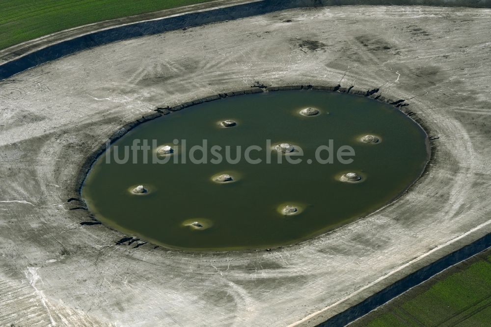Luftaufnahme Krummensee - Künstliches Soll Biotop in einem Feld am Waldrand in Krummensee im Bundesland Brandenburg, Deutschland
