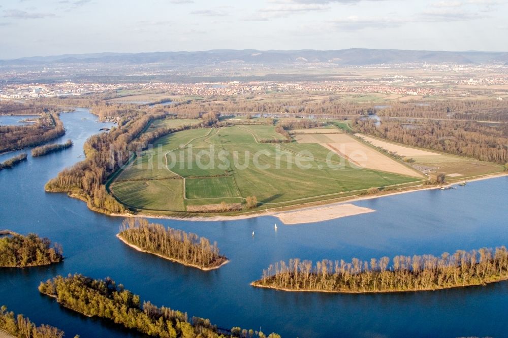 Luftaufnahme Otterstadt - Koller-Insel am Ufer des Flußverlaufes Koller See und Otterstädter Altrhein in Otterstadt im Bundesland Rheinland-Pfalz, Deutschland