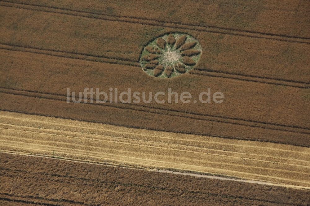 Schönefeld aus der Vogelperspektive: Kornkreis in einem Getreide- Feld im Ortsteil Großziethen in Schönefeld im Bundesland Brandenburg