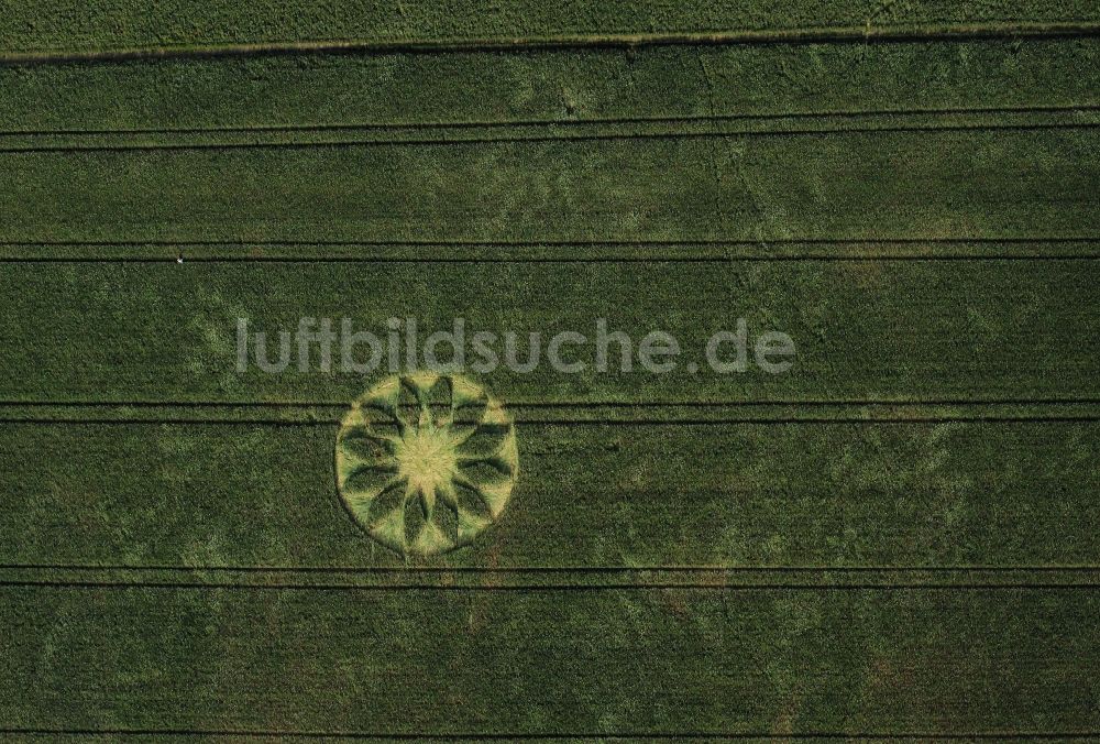 Schönefeld aus der Vogelperspektive: Kornkreis in einem Getreide- Feld im Ortsteil Großziethen in Schönefeld im Bundesland Brandenburg