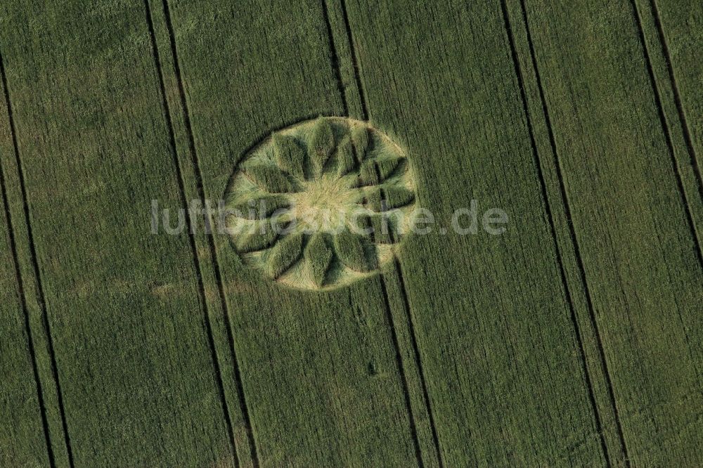 Luftaufnahme Schönefeld - Kornkreis in einem Getreide- Feld im Ortsteil Großziethen in Schönefeld im Bundesland Brandenburg
