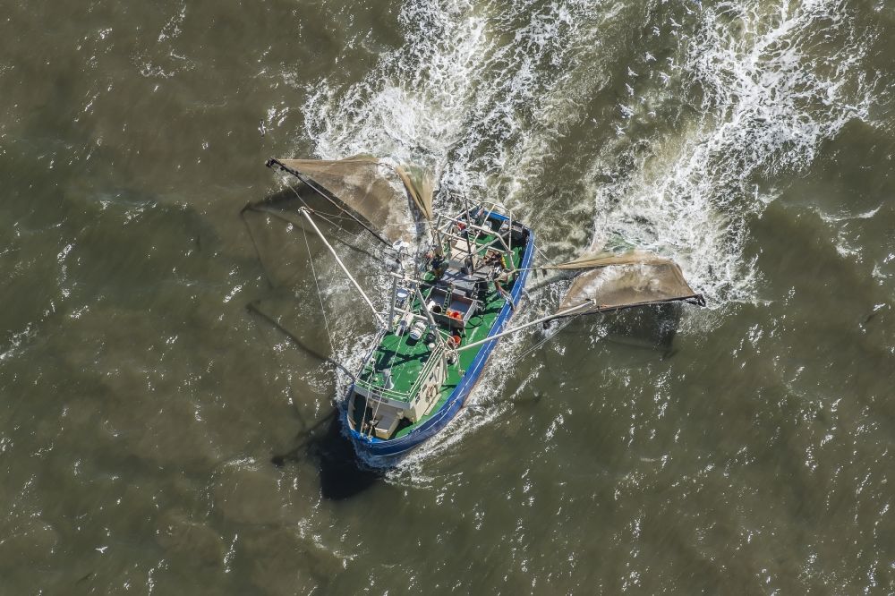 Luftbild Büsum - Krabbenkutter in Fahrt auf der Nordsee in Büsum im Bundesland Schleswig-Holstein