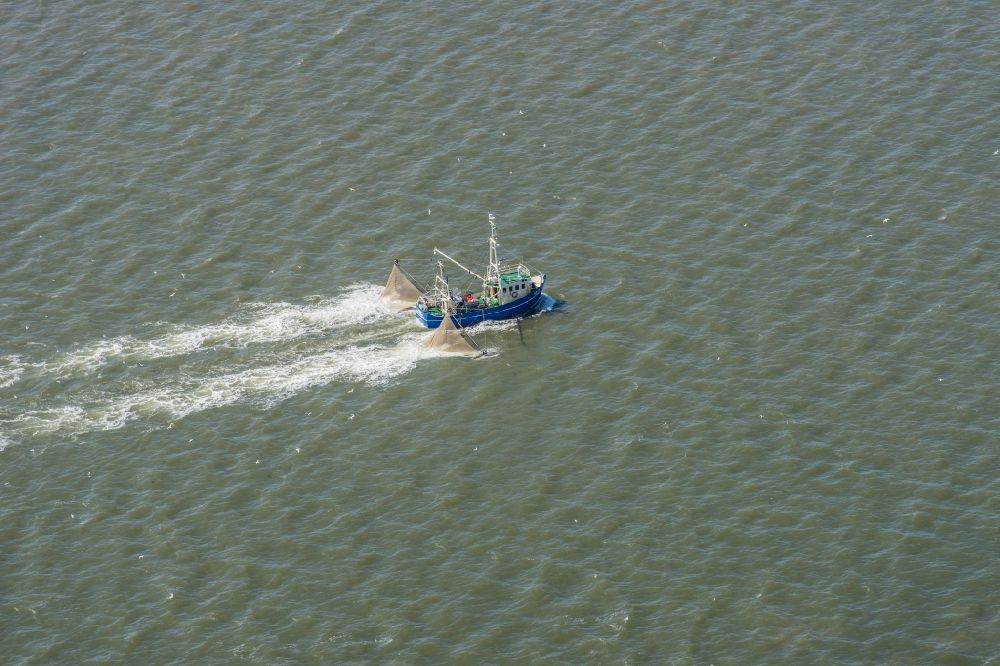 Luftaufnahme Büsum - Krabbenkutter in Fahrt auf der Nordsee in Büsum im Bundesland Schleswig-Holstein