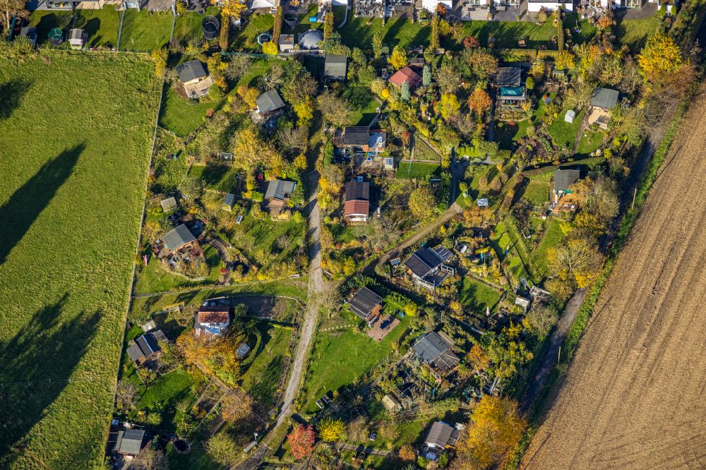Luftaufnahme Witten - Kreisförmig angeordnete Kleingartenanlagen einer Laubenkolonie in Witten im Bundesland Nordrhein-Westfalen, Deutschland