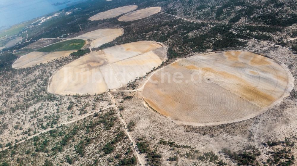 Luftaufnahme Comporta - Kreisförmige Bewässerung in einem Getreide- Feld in Comporta in Setubal, Portugal