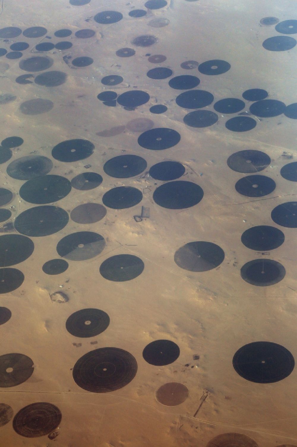 Qaryat Al Ulya von oben - Kreisförmige Bewässerungsanlagen in der Wüste bei Qaryat Al Ulya in Eastern Province, Saudi-Arabien