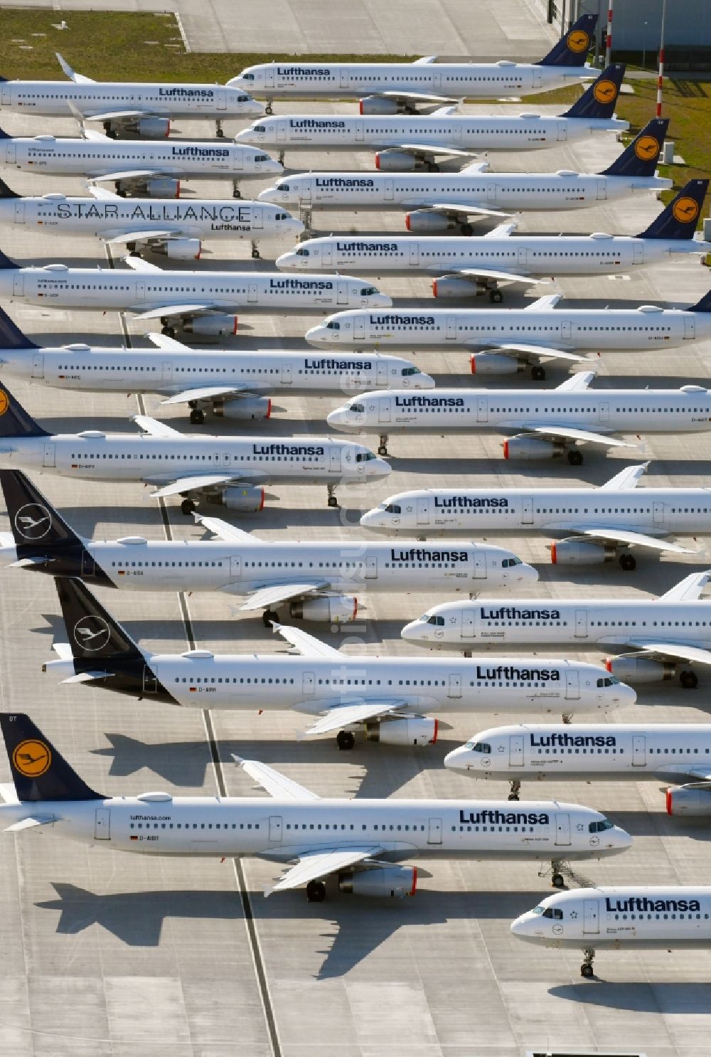Luftaufnahme Schönefeld - Krisenbedingt stillgelegte Passagierflugzeuge der Fluggesellschaft Lufthansa auf der Parkposition - Abstellfläche auf dem Flughafen in Schönefeld im Bundesland Brandenburg, Deutschland