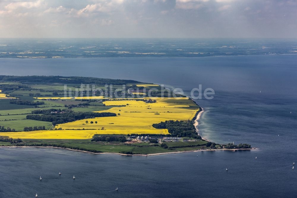 Luftbild Strande - Küsten- Landschaft mit gelben Rapsfeldern in Strande im Bundesland Schleswig-Holstein, Deutschland
