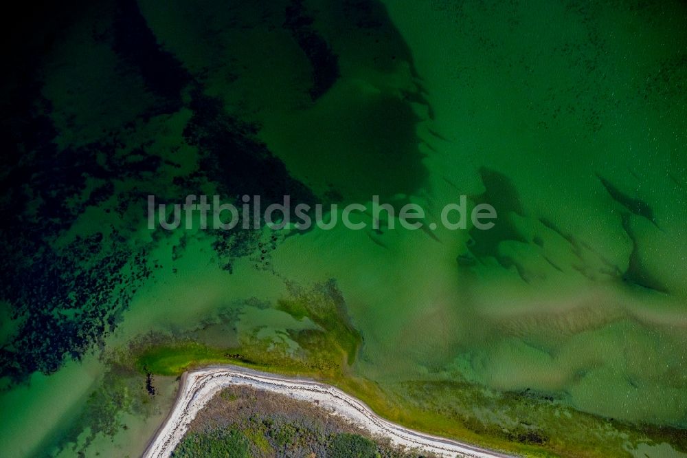 Insel Hiddensee aus der Vogelperspektive: Küsten- Landschaft am Sandstrand der Insel Hiddensee im Bundesland Mecklenburg-Vorpommern, Deutschland