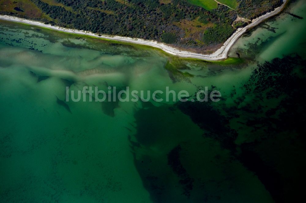 Luftaufnahme Insel Hiddensee - Küsten- Landschaft am Sandstrand der Insel Hiddensee im Bundesland Mecklenburg-Vorpommern, Deutschland