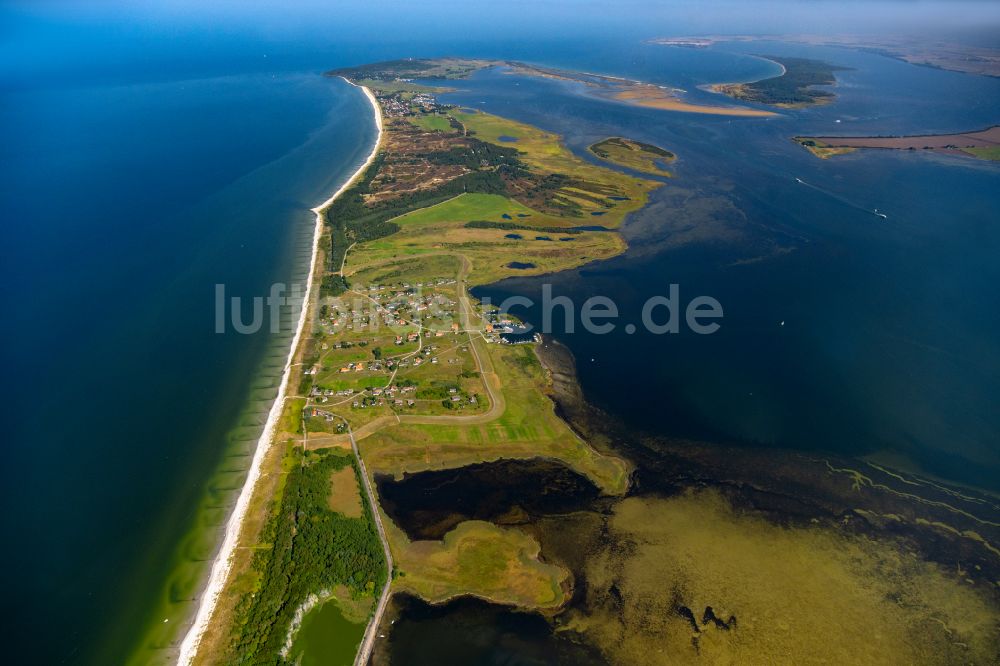 Insel Hiddensee von oben - Küsten- Landschaft am Sandstrand in Neuendorf der Insel Hiddensee im Bundesland Mecklenburg-Vorpommern, Deutschland